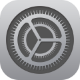 settings icon